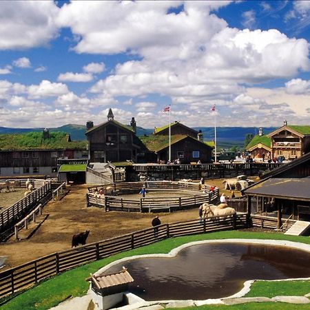 Luxury Cabin In The Mountains With All Facileties Sonstebo 外观 照片
